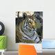 Tiger Sitting Amongst Leaves, Close Up Wall Mural