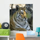Tiger Sitting Amongst Leaves, Close Up Wall Mural