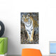 Bengal Tiger In Pench National Park Wall Mural