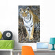 Bengal Tiger In Pench National Park Wall Mural