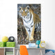 Bengal Tiger In Pench National Park Wall Mural
