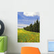 Poppies And Wild Flowers In Wheat Field Beside Line Of Cypress Trees Wall Mural