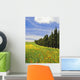 Poppies And Wild Flowers In Wheat Field Beside Line Of Cypress Trees Wall Mural