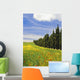 Poppies And Wild Flowers In Wheat Field Beside Line Of Cypress Trees Wall Mural