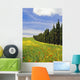Poppies And Wild Flowers In Wheat Field Beside Line Of Cypress Trees Wall Mural