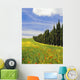 Poppies And Wild Flowers In Wheat Field Beside Line Of Cypress Trees Wall Mural
