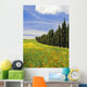 Poppies And Wild Flowers In Wheat Field Beside Line Of Cypress Trees Wall Mural
