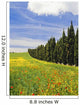 Poppies And Wild Flowers In Wheat Field Beside Line Of Cypress Trees Wall Mural