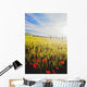 Poppies In Wheat Field At Dawn Wall Mural