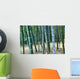 Bamboo Tree Forest, Close Up Wall Mural