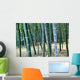 Bamboo Tree Forest, Close Up Wall Mural