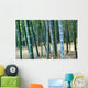 Bamboo Tree Forest, Close Up Wall Mural