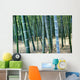 Bamboo Tree Forest, Close Up Wall Mural