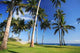 Hammock Beach Wall Decal