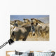 Grevy's Zebras On Savannah Wall Mural