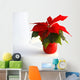 Poinsettia Wall Decal