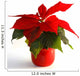 Poinsettia Wall Decal