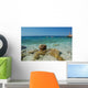 Beach Ivan Dolac Hvar Wall Decal