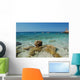 Beach Ivan Dolac Hvar Wall Decal