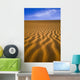 Desert Wall Mural