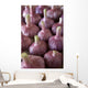 Garlic Bulbs Wall Mural