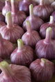 Garlic Bulbs Wall Mural