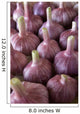 Garlic Bulbs Wall Mural