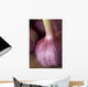 Garlic Bulbs Wall Mural