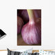 Garlic Bulbs Wall Mural