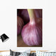 Garlic Bulbs Wall Mural