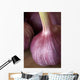 Garlic Bulbs Wall Mural