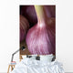 Garlic Bulbs Wall Mural
