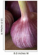 Garlic Bulbs Wall Mural
