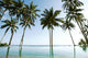 Resort Swimming Pool Wall Decal