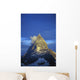 Matterhorn Mountain At Sunrise, Close Up Wall Mural
