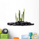 Sprouts and Stones