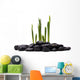 Sprouts and Stones