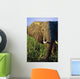 Elephant Eating Reeds On Riverbank Wall Mural