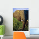 Elephant Eating Reeds On Riverbank Wall Mural