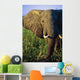 Elephant Eating Reeds On Riverbank Wall Mural