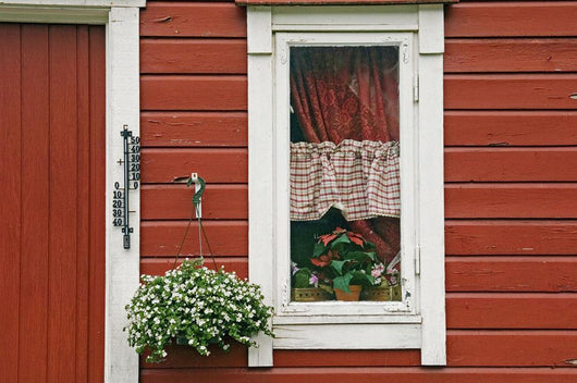 Red Wooden House With Plants In And By Window, Close Up Wall Mural