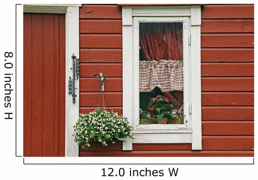 Red Wooden House With Plants In And By Window, Close Up Wall Mural