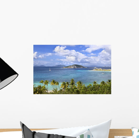 Topical Islands
