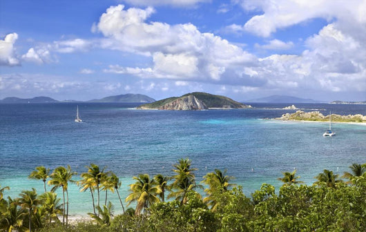 Topical Islands