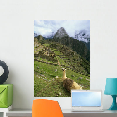 Llama Machu Picchu Wall Mural shown on a wall