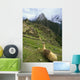 Llama At Machu Picchu Wall Mural