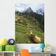 Llama At Machu Picchu Wall Mural