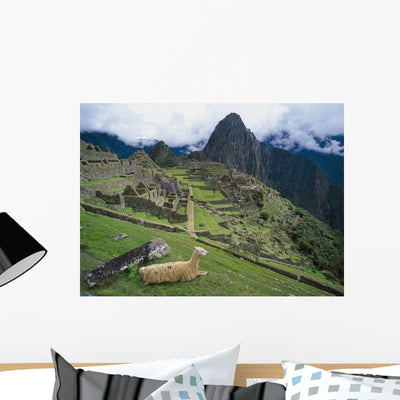 Llama Machu Picchu's Ancient Wall Mural shown on a wall