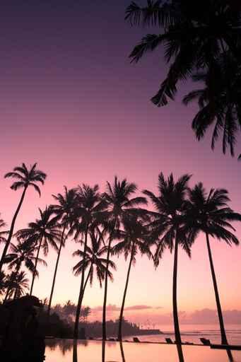Coconut Tree Sunrise Wall Decal Design 3
