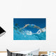 Underwater View Of Woman Diving Into Pool Wall Mural